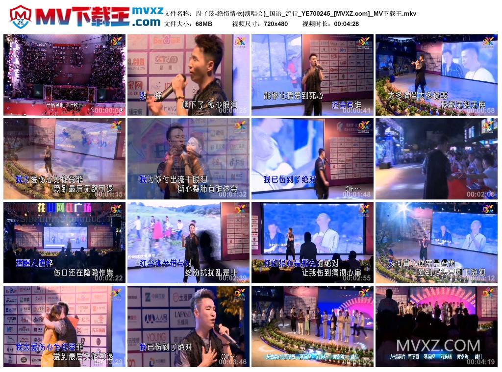 周子玹-绝伤情歌(演唱会)_国语_流行_YE700245